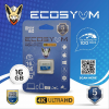 SD CARTE 16GB ECOSYUM COLOR