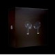 AIRPODS PRO NOIRE 